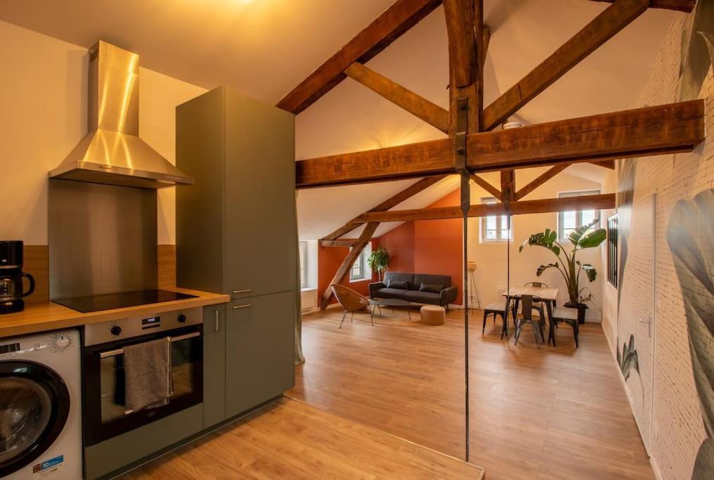 Loft Atelier Hyper Centre Albi Apartment Bagian luar foto